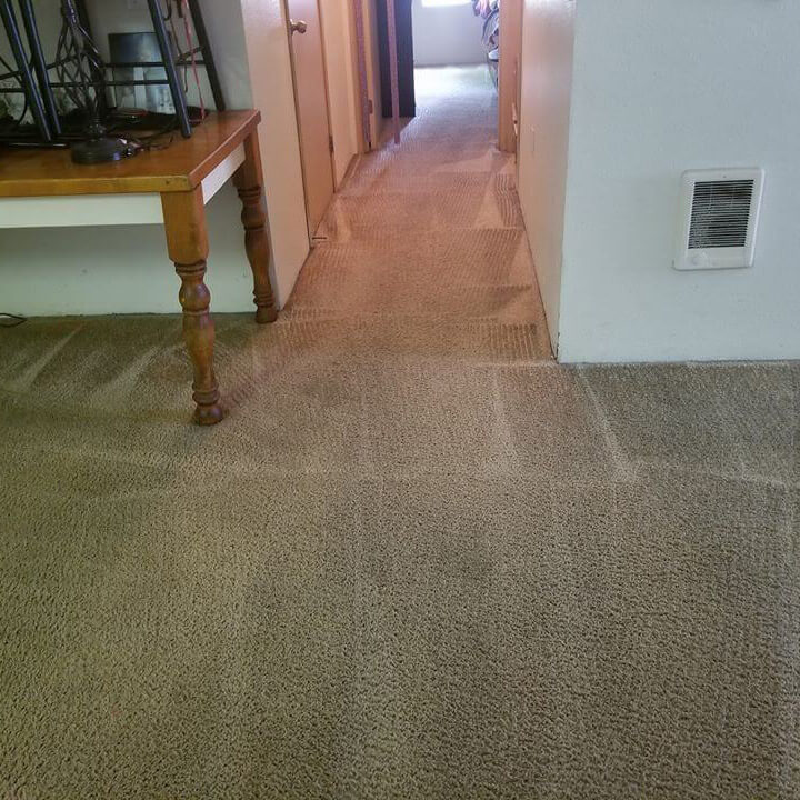 Hillsboro Carpet Cleaning Portland NW Carpet Cleaning CA