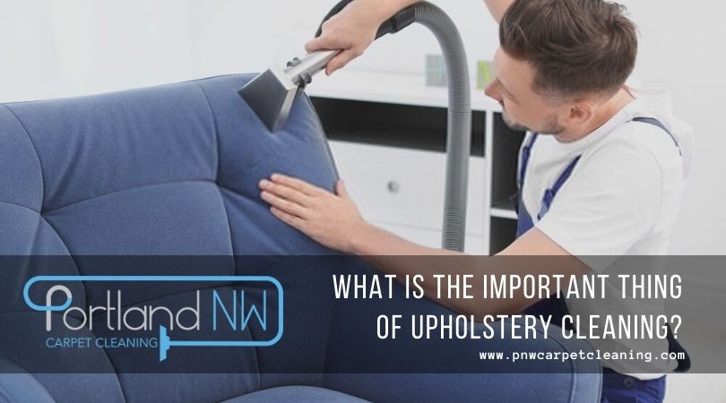 What Is The Important Thing Of Upholstery Cleaning
