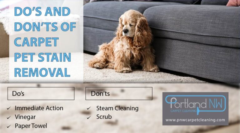 DO’s And Don’ts Of Carpet Pet Stain Removal