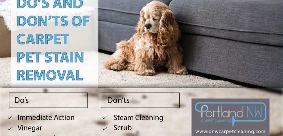 DO’s And Don’ts Of Carpet Pet Stain Removal