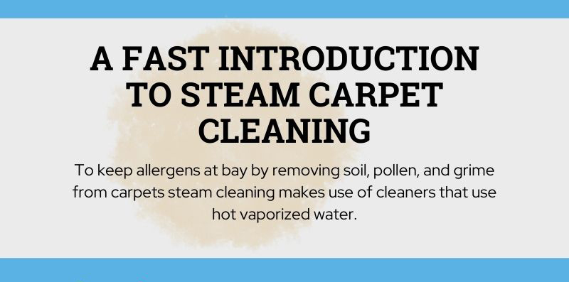 A Fast Introduction to Steam Carpet Cleaning In Hillsboro OR [Infographic]