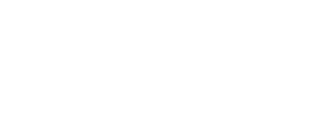 PNW Carpet Cleaning Logo
