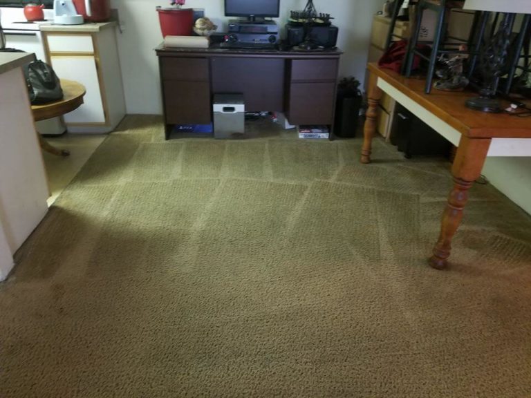 Carpet Cleaning Services Hillsboro OR PNW Carpet Cleaning