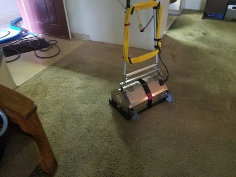Carpet Cleaning Services Hillsboro OR PNW Carpet Cleaning