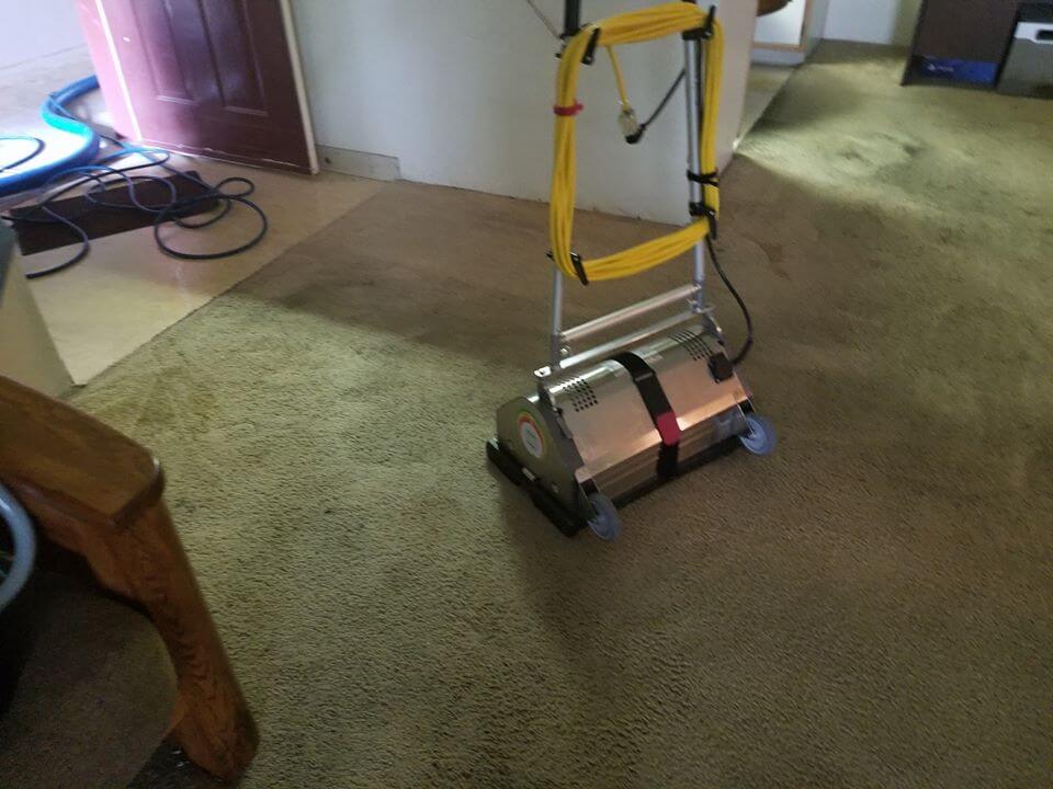 Residential and Commercial Carpet Cleaning Service