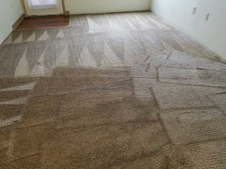 Carpet Cleaning Services Hillsboro OR PNW Carpet Cleaning