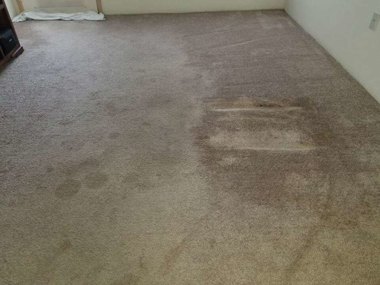 Carpet Cleaning Services Hillsboro OR PNW Carpet Cleaning