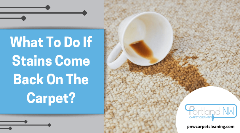 What To Do If Stains Come Back On The Carpet?