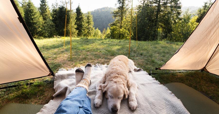dog and man lying on a mat outdoors