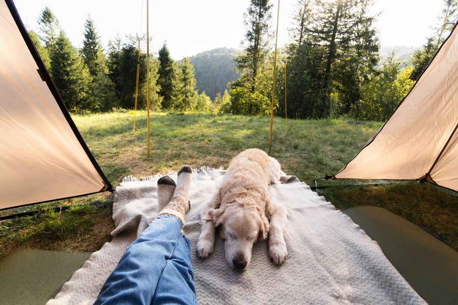 dog and man lying on a mat outdoors