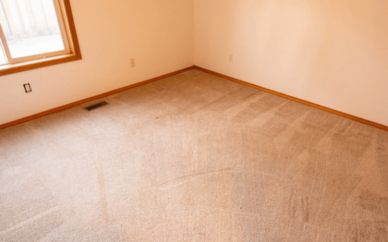 Reasons to Hire a Professional Carpet Cleaning Company in Hillsboro