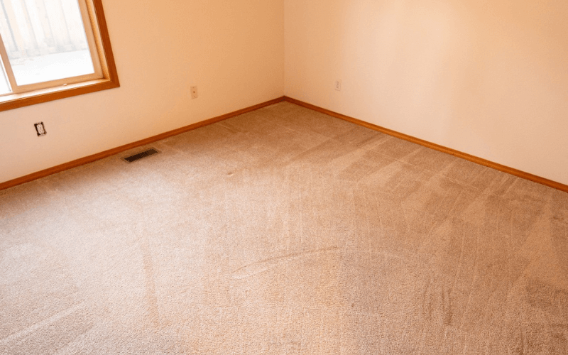 Reasons to Hire a Professional Carpet Cleaning Company in Hillsboro