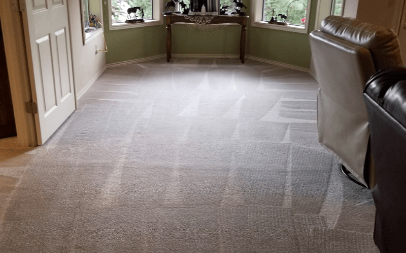 Common Carpet Cleaning Mistakes To Avoid
