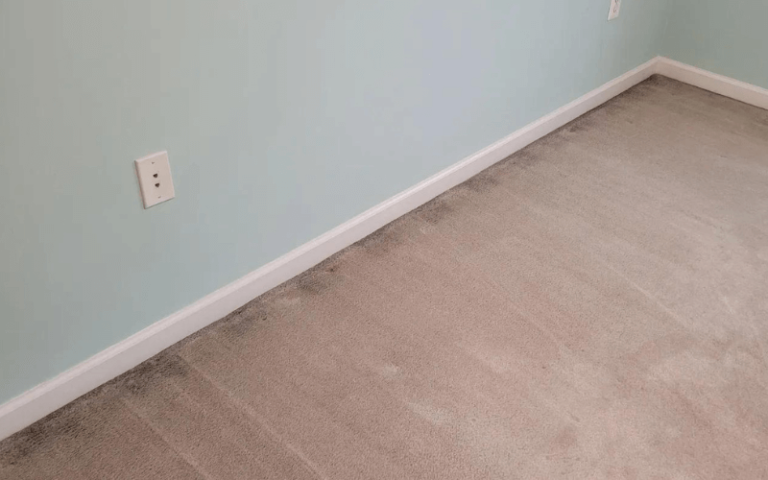 How To Prevent Those Black Lines (Filtration Soil) On Your Carpet?