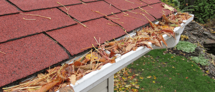 Clogged Gutters