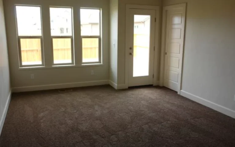 How To Get Mold Out Of The Carpet?