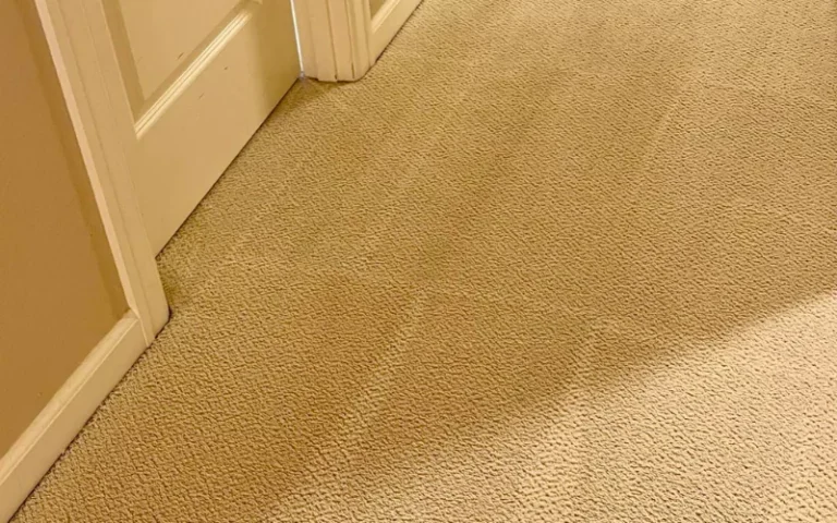 Why You Shouldn't Delay Carpet Repairs?